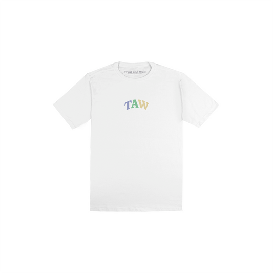 Camiseta Infantil Colorfull